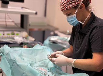Chirurgie